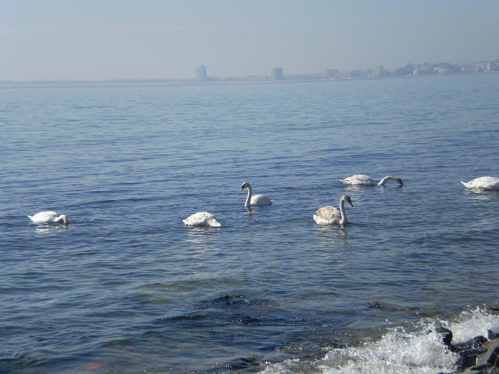 Family Hotel Venera Sveti Vlas Bagian luar foto